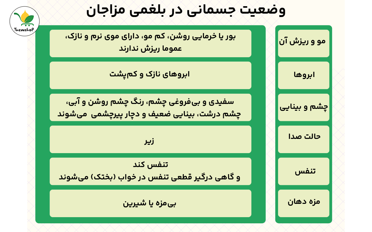 وضعیت جسمانی مزاج بلغم 