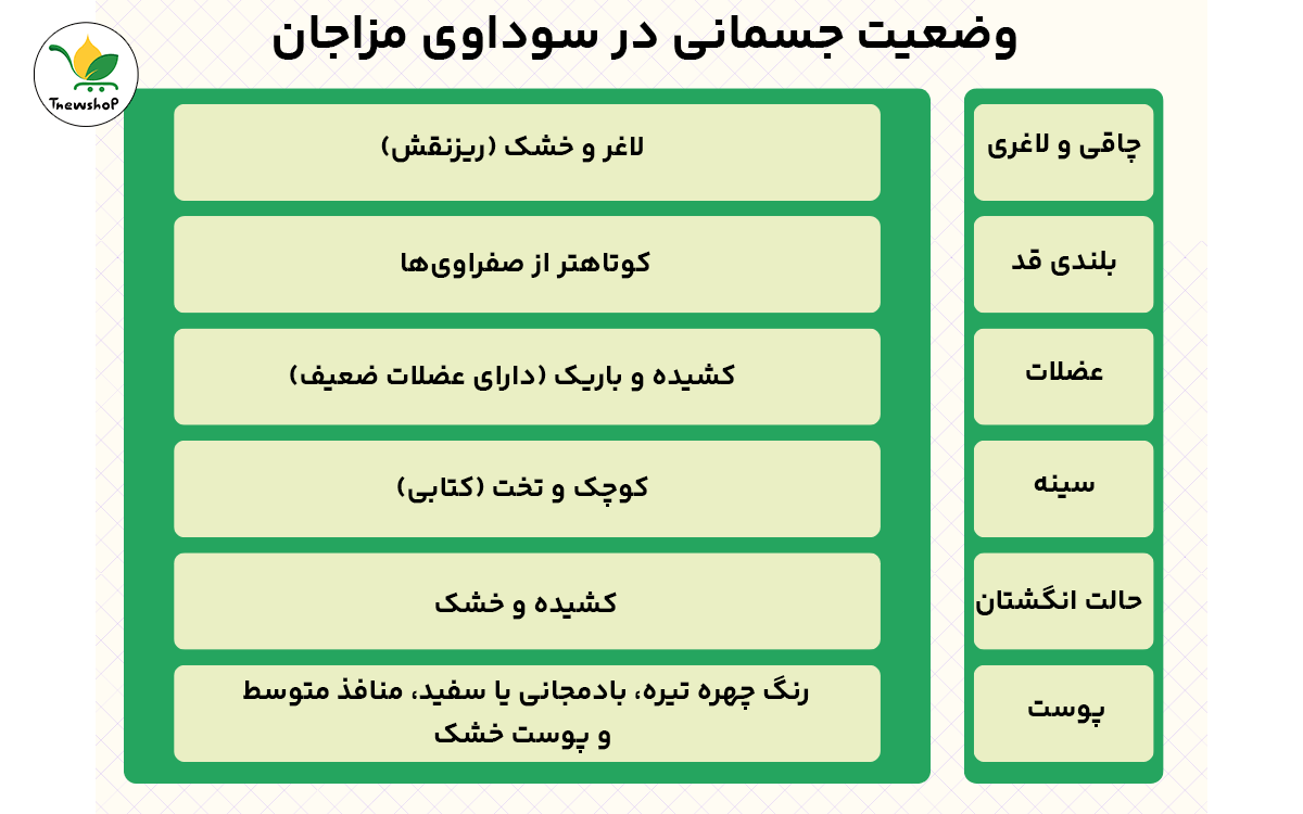 ویژگی های جسمانی مزاج سودا 