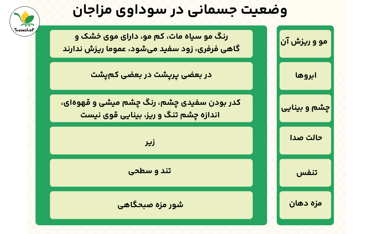 تشخیص مزاج سودا از روی چهره