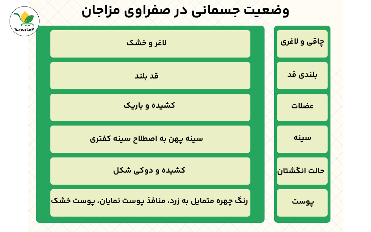 وضعیت جسمانی افراد با مزاج صفرا