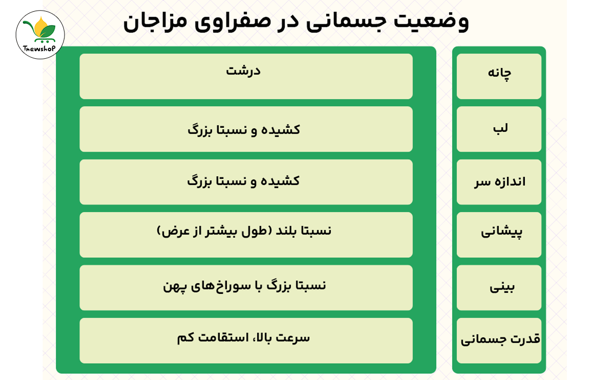  ویژگی های مزاج گرم و خشک