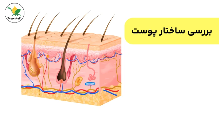چرا حوش می‌ زنم