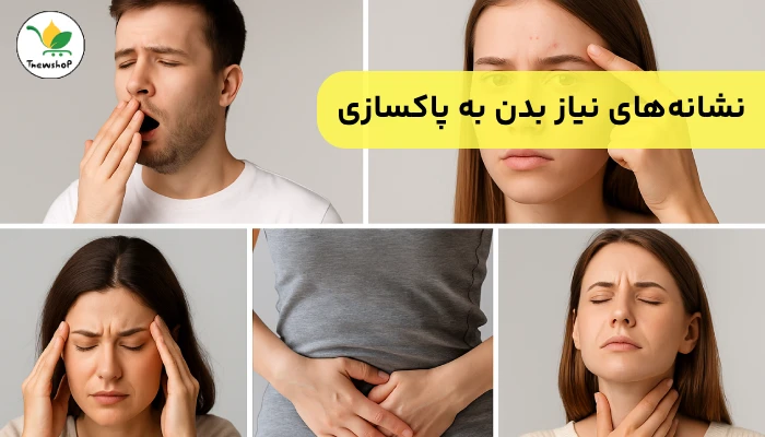پاکسازی بدن با دمنوش نیوشا