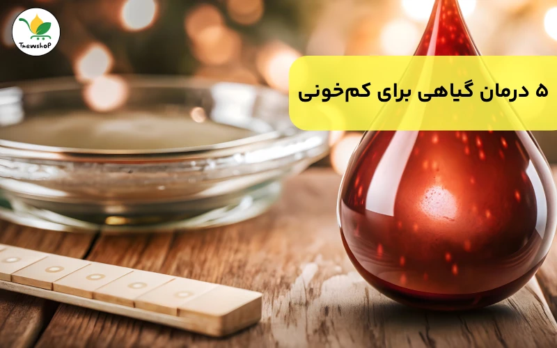 برای کم ‌خونی چی بخوریم